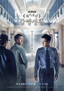 年度高分剧集推荐